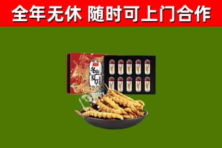 宕昌区回收冬虫夏草价格